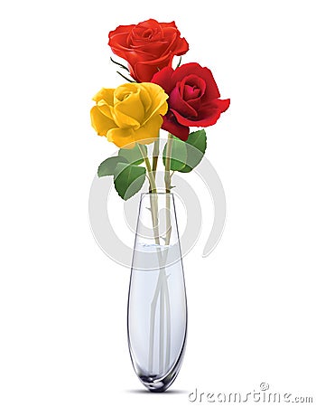 Colored Roses in a glass vase, isolated. Cartoon Illustration