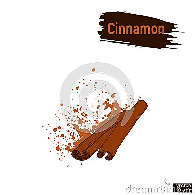 Colored sketch cinnamon Vector Illustration