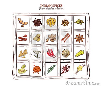 Colored Sketch Indian Spices Set Vector Illustration