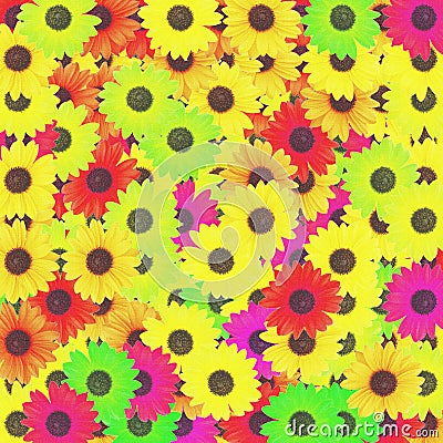 Colored sunflowers Cartoon Illustration