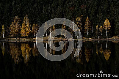 Colored tree reflection in a mountain lake Stock Photo