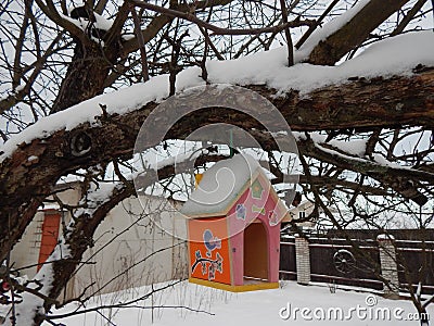 Colored winter feeder for wild birds Stock Photo