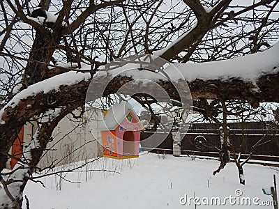 Colored winter feeder for wild birds Stock Photo