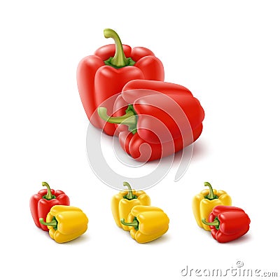 Colored Yellow Red Sweet Bulgarian Bell Peppers, Paprika Isolated Vector Illustration