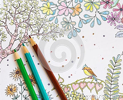 Colorer book - antistress Stock Photo