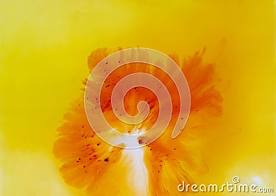 Colorful abstract flower concept background, fresh and softy Stock Photo