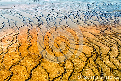Colorful, abstract, natural pattern in Yellowstone National Park, Wyoming, USA Stock Photo