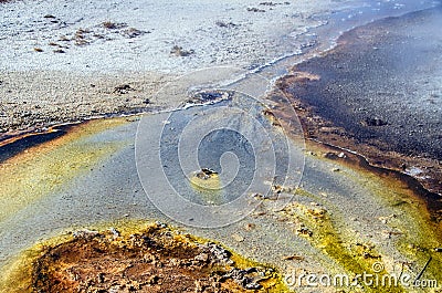 Colorful, abstract, natural pattern in Yellowstone National Park, Wyoming, USA Stock Photo