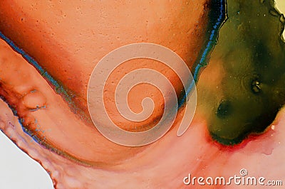 Ink, paint, abstract. Closeup of the painting. Stock Photo