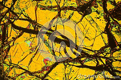 Colorful, abstract pattern of mineral in a polarizing micrograph. Stock Photo