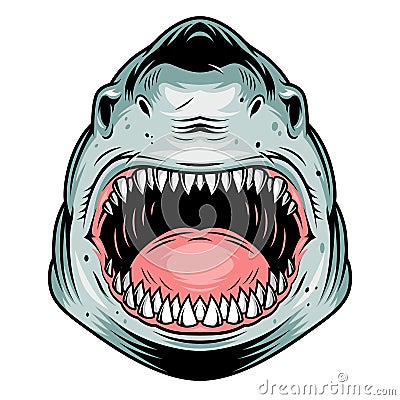Colorful aggressive shark head concept Vector Illustration