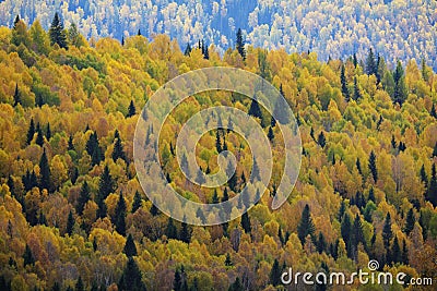 Colorful alpine autumn pattern background Stock Photo