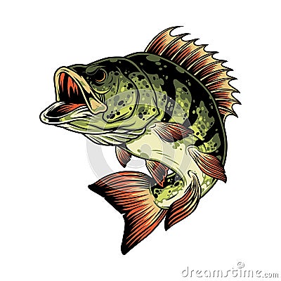 Colorful angry perch fish template Vector Illustration