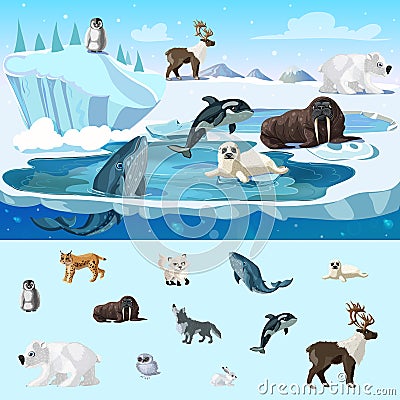 Colorful Arctic Wildlife Concept Vector Illustration