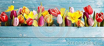 Colorful arrangement of fresh spring flowers Stock Photo