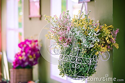 Colorful artificial decorative plastic flowers hang in iving ro Stock Photo