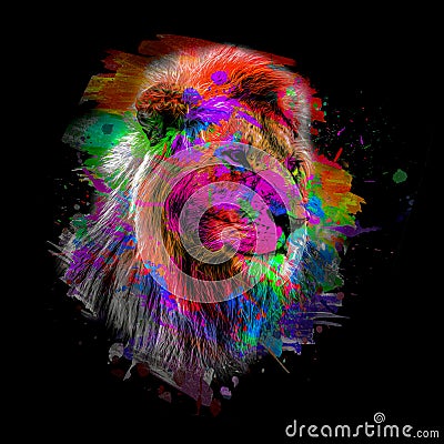 Colorful artistic lion muzzle with bright paint splatters on dark background Stock Photo