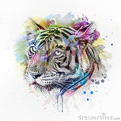 Colorful artistic tiger muzzle with colorful paint splatters on white background. Stock Photo