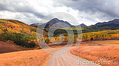 Colorful Aspen trees in autumn time at San Juan mountains ,Colorado Stock Photo