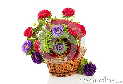 Colorful Asters flowers in cane basket Stock Photo