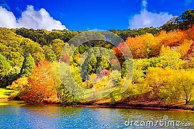 Colorful Australian autumn in Adelaide Hills Stock Photo