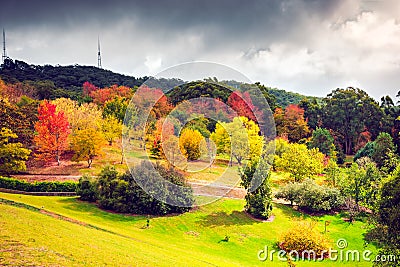 Colorful Australian autumn in Adelaide Hills Stock Photo