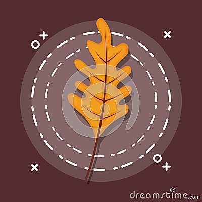 Colorful autum leaves Vector Illustration