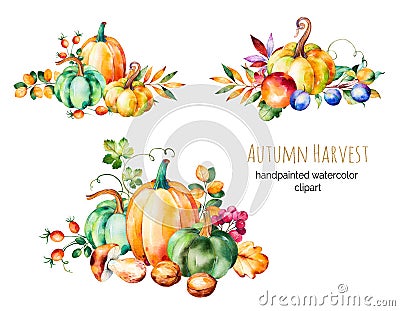 Colorful autumn collection with fall leaves,branches Stock Photo