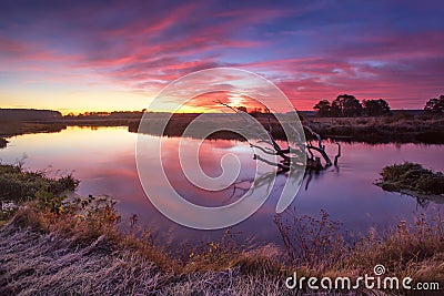 Colorful autumn dawn. Old snag in the river Stock Photo