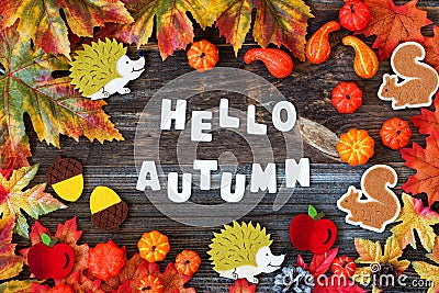 Colorful Autumn Decoration, Text Hello Autumn, Wooden Background Stock Photo