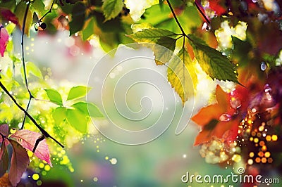 Colorful autumn / fall leaves - Art work, Bokeh, Lens flares - Text, body, copy space Stock Photo