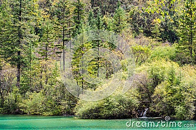 Colorful autumn forest and tiny waterfall at a lake edge Stock Photo