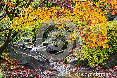 Colorful Autumn Landscape Stock Photo