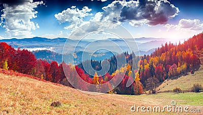 Colorful autumn landscape in the mountain village. Foggy morning Stock Photo