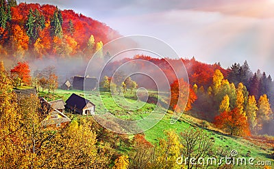 Colorful autumn landscape in the mountain village. Foggy morning Stock Photo