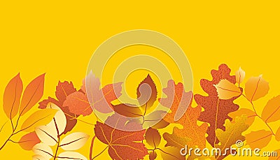 Colorful autumn leaves arrange on yellow Vector Illustration