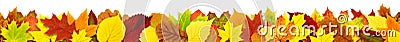 Colorful autumn leaves border Stock Photo