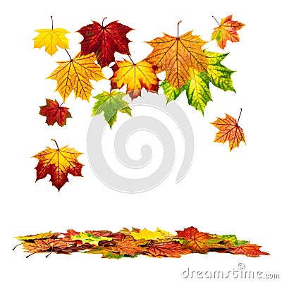 Colorful autumn leaves falling down Stock Photo