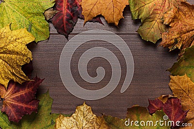 Colorful autumn leaves frame Stock Photo