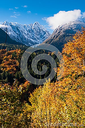 Colorful autumn in the montains Stock Photo