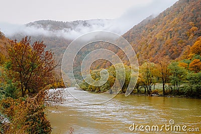 Colorful autumn mountain landscape on Olt river in Romania Stock Photo