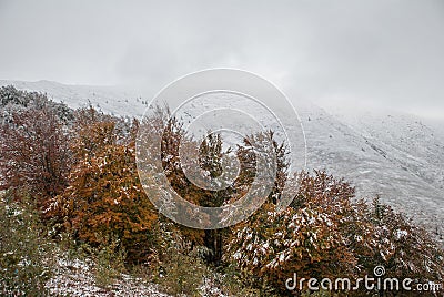 Colorful autumn in the mountains. First snow in october Stock Photo