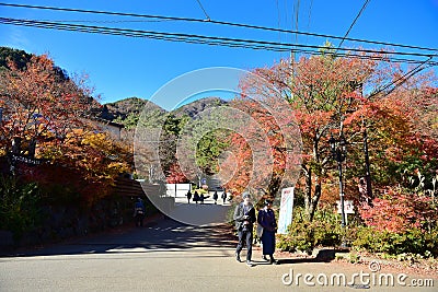 Colorful Autumn Season and Mountain Fuji at lake Kawaguchiko Japan Editorial Stock Photo