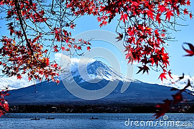 Colorful Autumn Season and Mountain Fuji with Snow capped peak and red leaves at lake Kawaguchiko is one of the best places in Stock Photo