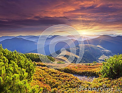 Colorful autumn sunrise in Carpathian mountains. Stock Photo