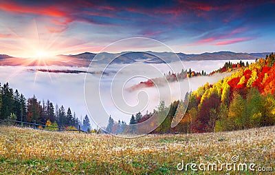 Colorful autumn sunrise in the Carpathian mountains Stock Photo