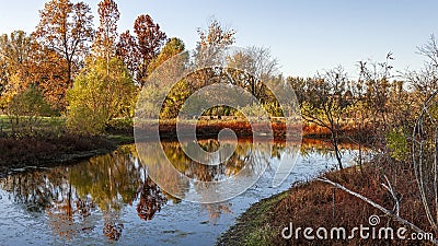 Colorful autumn trees reflected in a small pond Stock Photo