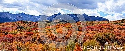 Colorful autumn trees in San Juan mountains Stock Photo