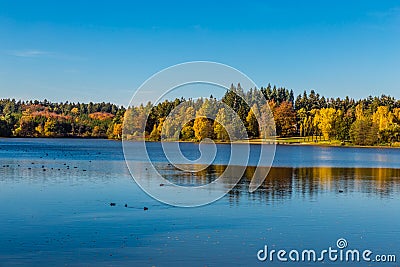 Colorful Autumn In Voderady Beechwood, Czechia Stock Photo