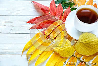 Colorful Autumn yellow, orange and red leaves and cup of coffee or hot tea on the white wooden background. change season, autumn Stock Photo